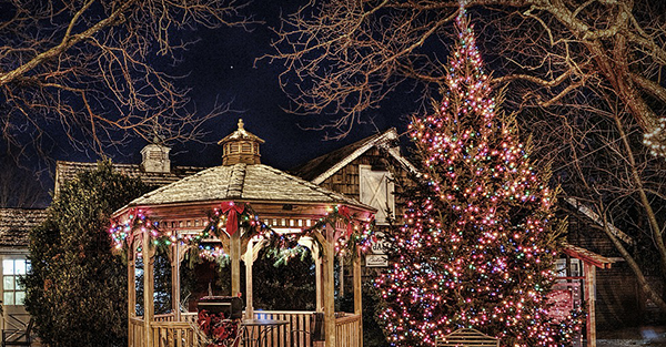 Gazebo and tree with Christmas lights