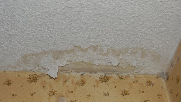 Drywall_splotch-web