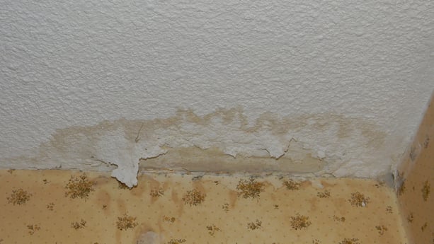 My Roof Is Leaking Can I Diy Or Should Call A Pro Drywall Splotch Shows Water Damage And Roof Leak Jpg