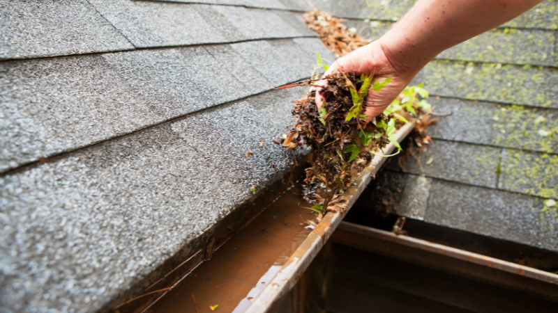 cleaning clogged gutters