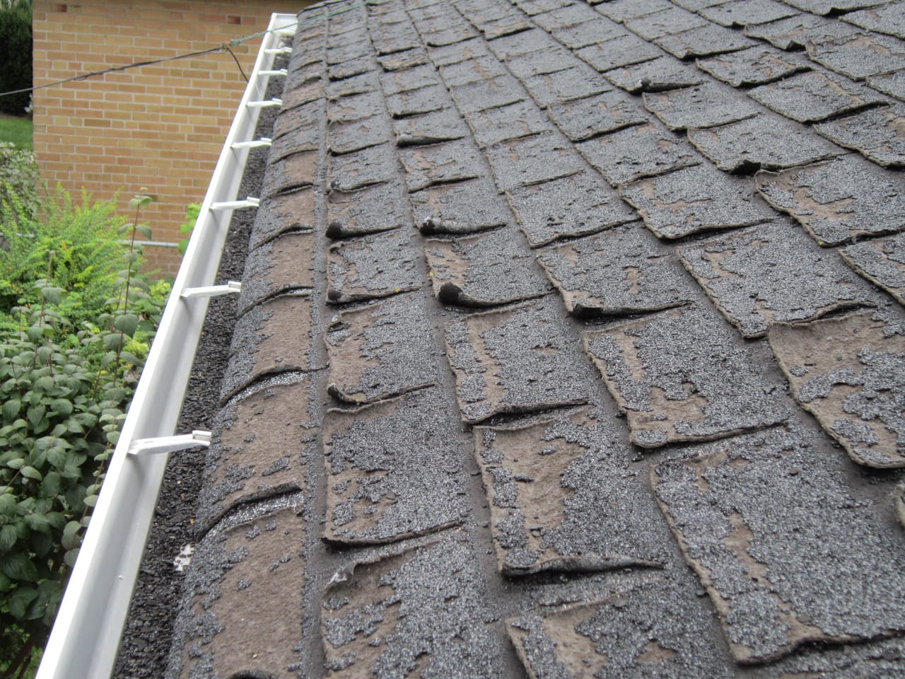 shingles-peeling