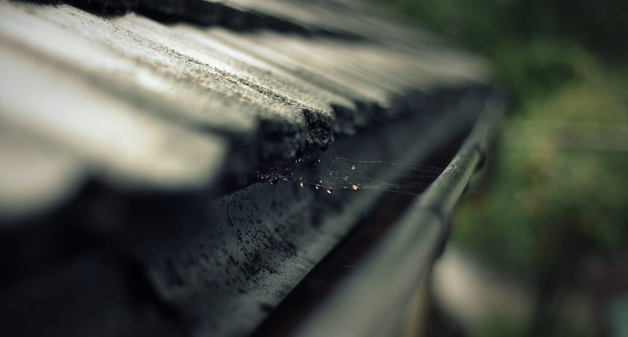 gutter-with-spiderweb