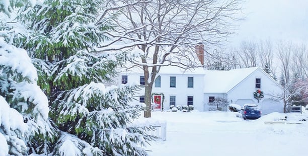 winter-roof-leak.png