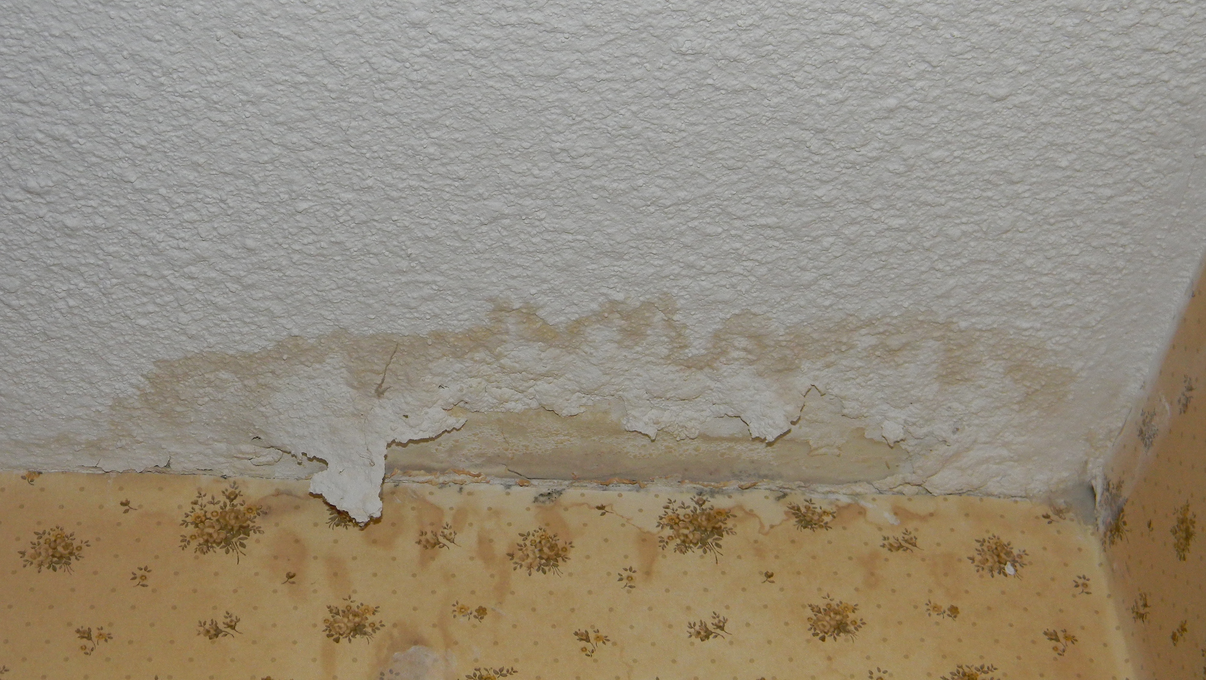 Drywall_splotch.jpg