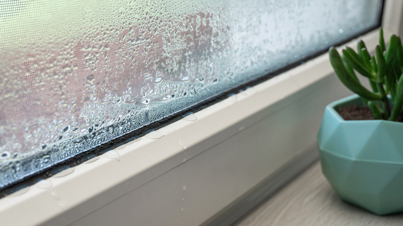 condensation on window