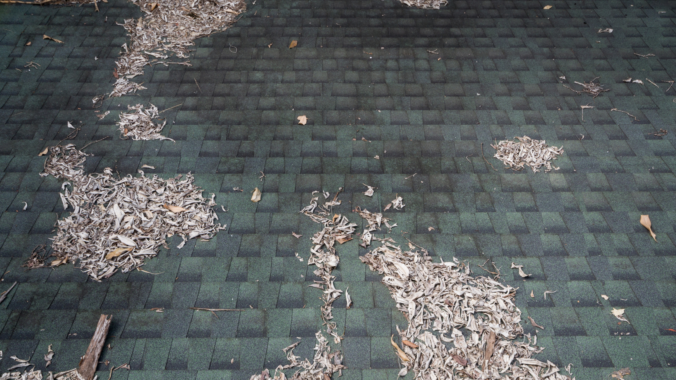 old-warn-bad-roof