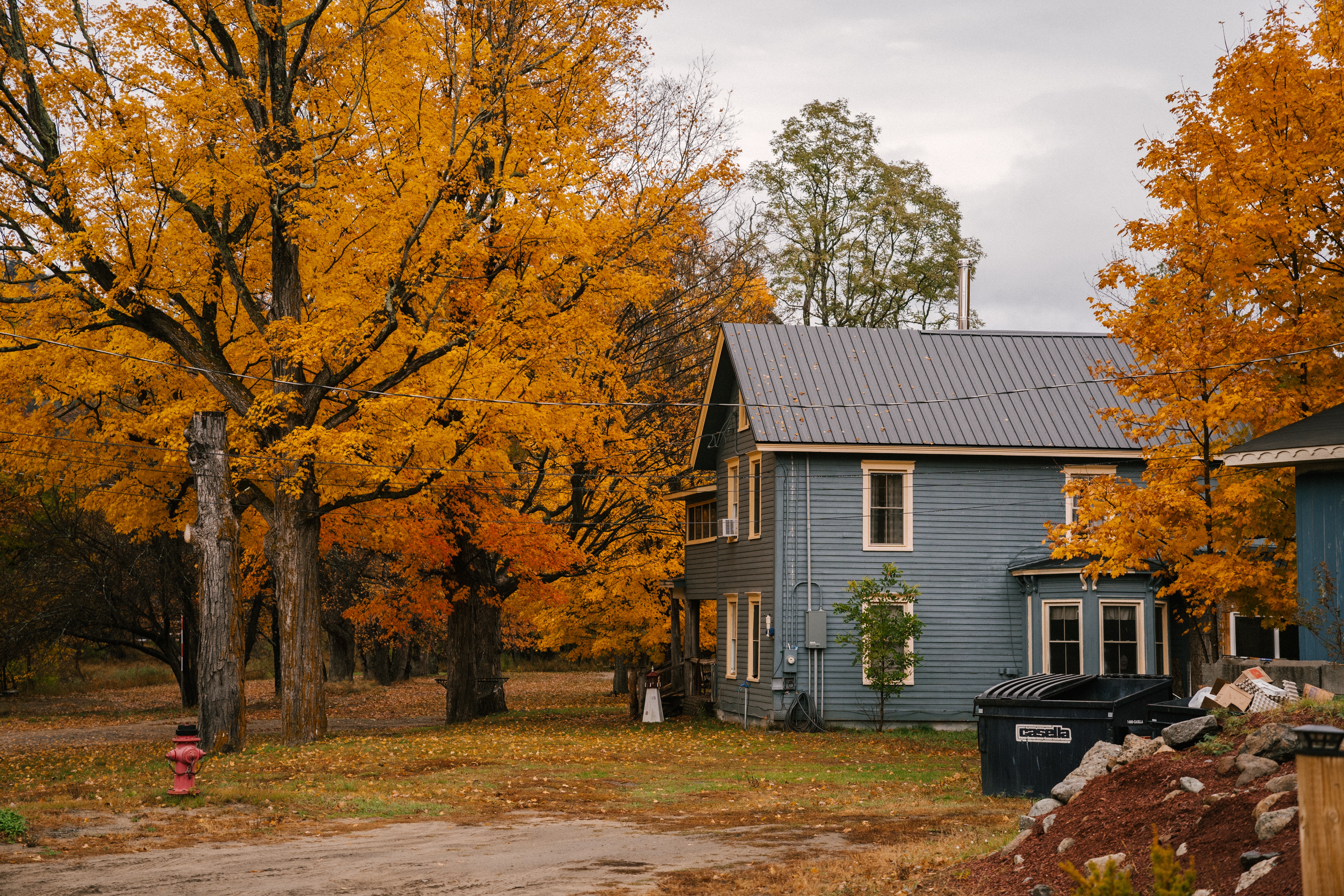 house-fall-trees