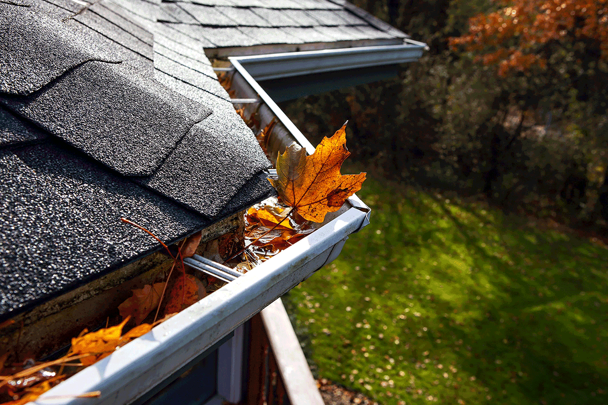 leaves-in-gutters