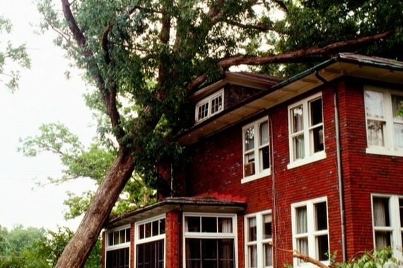 tree-fallen-on-red-house