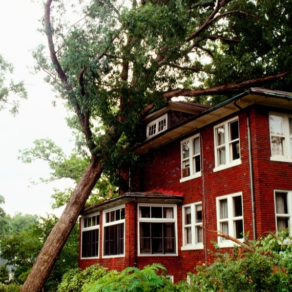 tree-fallen-on-red-house